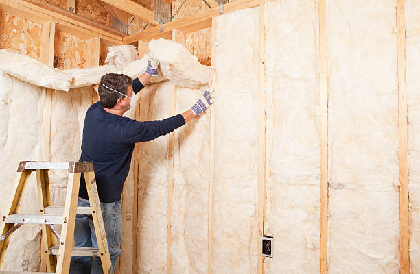 Best Insulation for New Construction  in Beckett, NJ